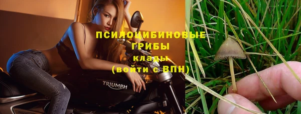 ПСИЛОЦИБИНОВЫЕ ГРИБЫ Балахна