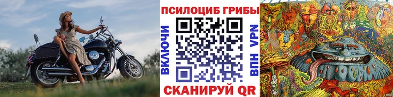 darknet как зайти  Давлеканово  Галлюциногенные грибы мухоморы 
